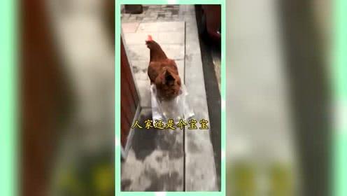 娱乐吃瓜群众群,揭秘“吃瓜群众”背后的故事