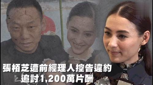 娱乐吃瓜教程在线观看,跟随娱乐教程，轻松解锁追剧乐趣
