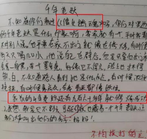 娱乐吃瓜君作文,揭秘娱乐圈幕后故事