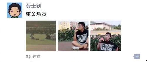 吃瓜娱乐图片搞笑版,搞笑版吃瓜娱乐图集大赏