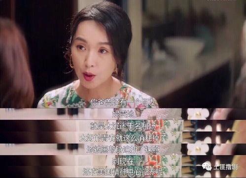 尽情吃瓜娱乐圈,揭秘明星幕后故事