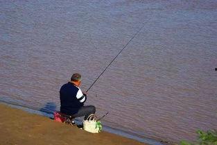 娱乐吃瓜君钓鱼,揭秘娱乐圈背后的秘密与八卦
