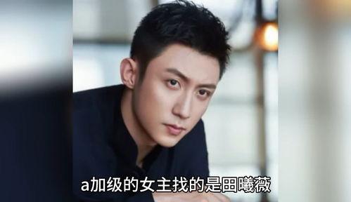 娱乐圈吃瓜爆料 肖战,娱乐圈风云再起，揭秘背后真相与争议