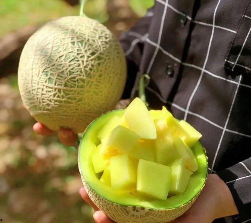 娱乐吃的瓜,明星们的“吃瓜”日常