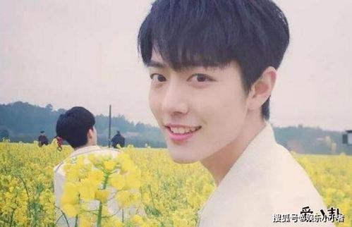 中国娱乐圈吃瓜男星小说,揭秘吃瓜男星的逆袭之路