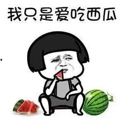 娱乐吃瓜酱内向,内向者的快乐生活指南