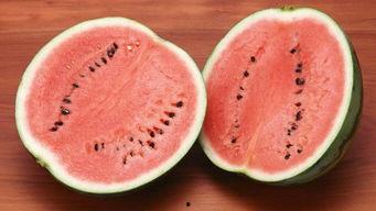 娱乐吃瓜酱属于什么领域,揭秘娱乐圈幕后故事与热点事件