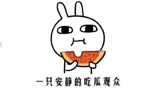 吃瓜娱乐简介句子,吃瓜群众眼中的明星幕后故事